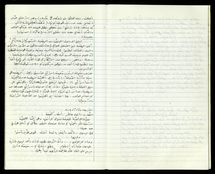 The Diaries of Fandi Mhanna, Buqei'a- Upper Galilee, 2002-2009