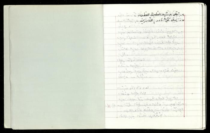 The Diaries of Fandi Mhanna, Buqei'a- Upper Galilee, 1997-2002