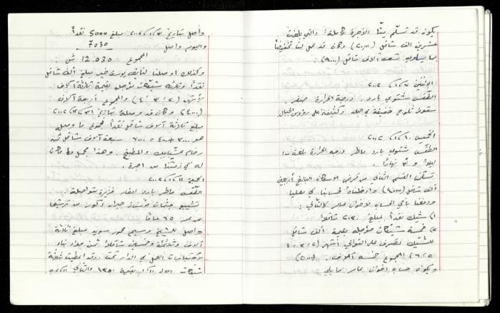 The Diaries of Fandi Mhanna, Buqei'a- Upper Galilee, 1997-2002