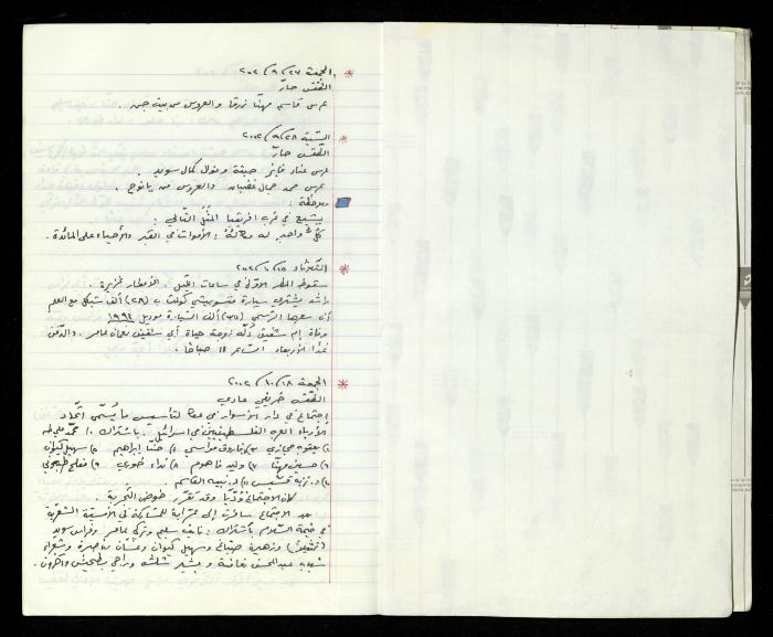 The Diaries of Fandi Mhanna, Buqei'a- Upper Galilee, 2002-2009
