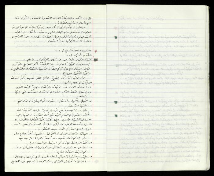The Diaries of Fandi Mhanna, Buqei'a- Upper Galilee, 2002-2009