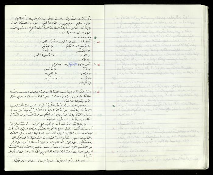 The Diaries of Fandi Mhanna, Buqei'a- Upper Galilee, 2002-2009
