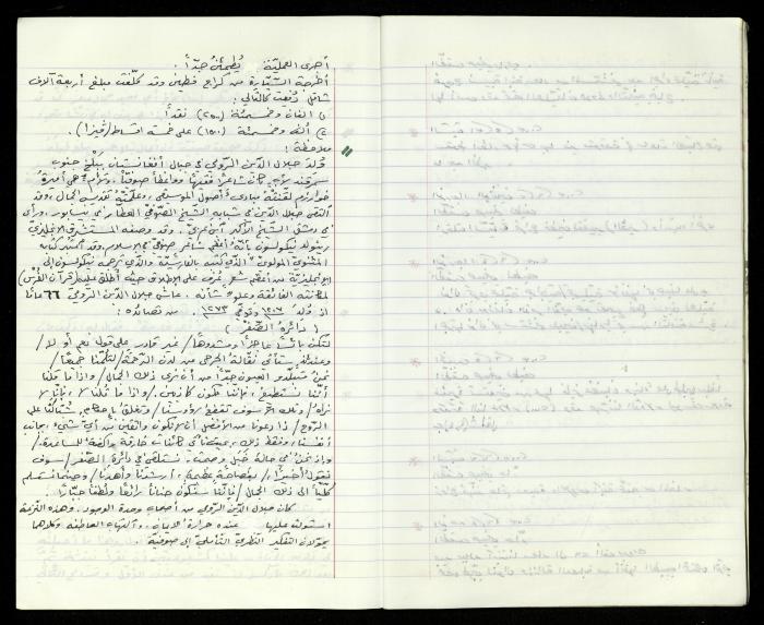 The Diaries of Fandi Mhanna, Buqei'a- Upper Galilee, 2002-2009