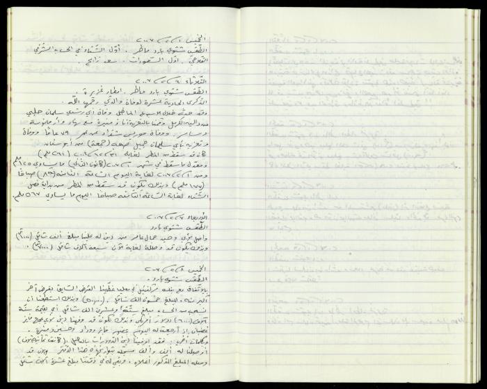 The Diaries of Fandi Mhanna, Buqei'a- Upper Galilee, 2002-2009