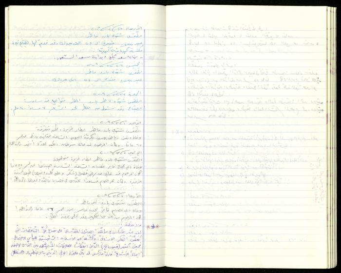 The Diaries of Fandi Mhanna, Buqei'a- Upper Galilee, 2002-2009