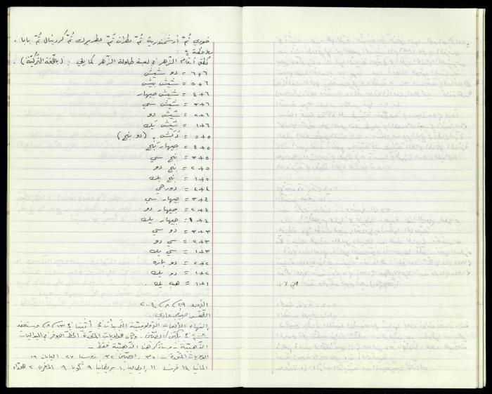 The Diaries of Fandi Mhanna, Buqei'a- Upper Galilee, 2002-2009