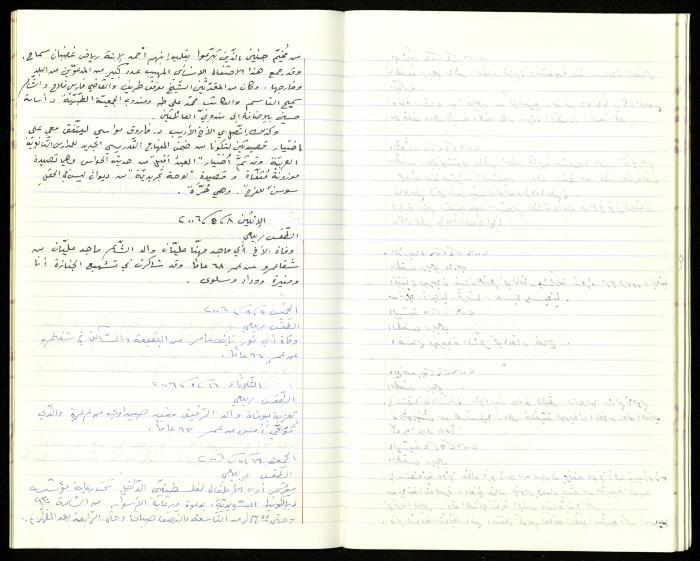 The Diaries of Fandi Mhanna, Buqei'a- Upper Galilee, 2002-2009