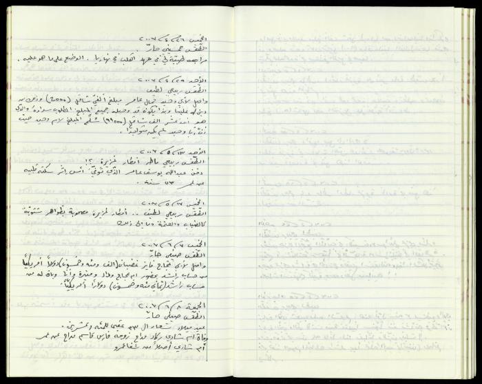 The Diaries of Fandi Mhanna, Buqei'a- Upper Galilee, 2002-2009