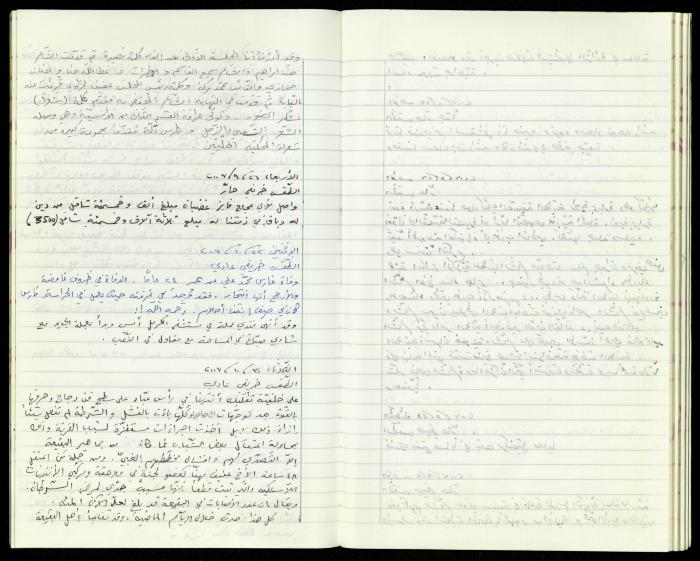 The Diaries of Fandi Mhanna, Buqei'a- Upper Galilee, 2002-2009