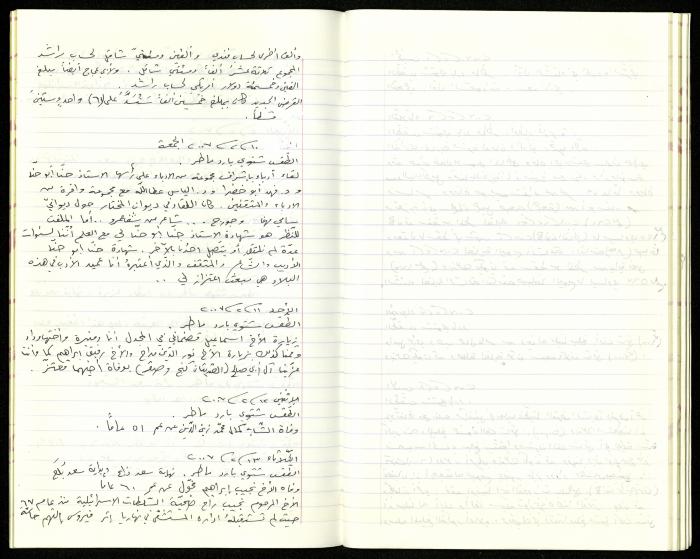 The Diaries of Fandi Mhanna, Buqei'a- Upper Galilee, 2002-2009