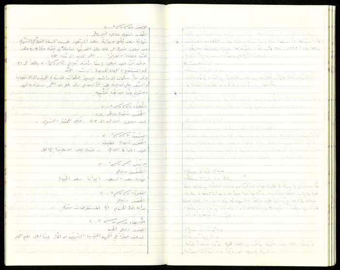 The Diaries of Fandi Mhanna, Buqei'a- Upper Galilee, 2002-2009