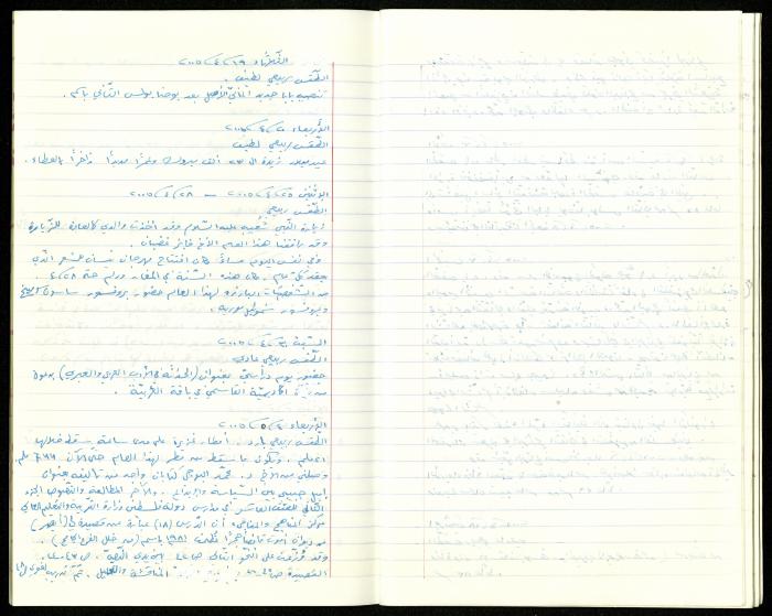 The Diaries of Fandi Mhanna, Buqei'a- Upper Galilee, 2002-2009