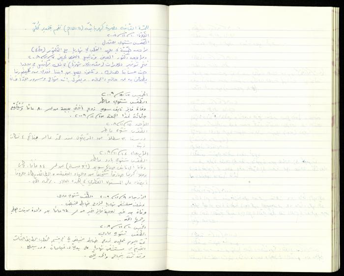 The Diaries of Fandi Mhanna, Buqei'a- Upper Galilee, 2002-2009