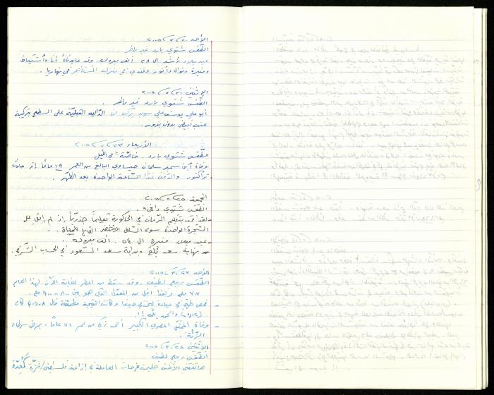 The Diaries of Fandi Mhanna, Buqei'a- Upper Galilee, 2002-2009