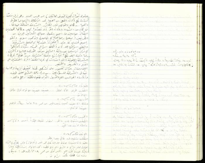 The Diaries of Fandi Mhanna, Buqei'a- Upper Galilee, 2002-2009