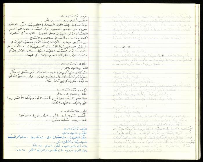 The Diaries of Fandi Mhanna, Buqei'a- Upper Galilee, 2002-2009