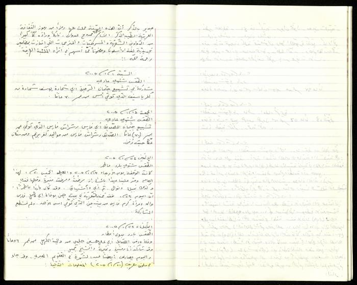 The Diaries of Fandi Mhanna, Buqei'a- Upper Galilee, 2002-2009