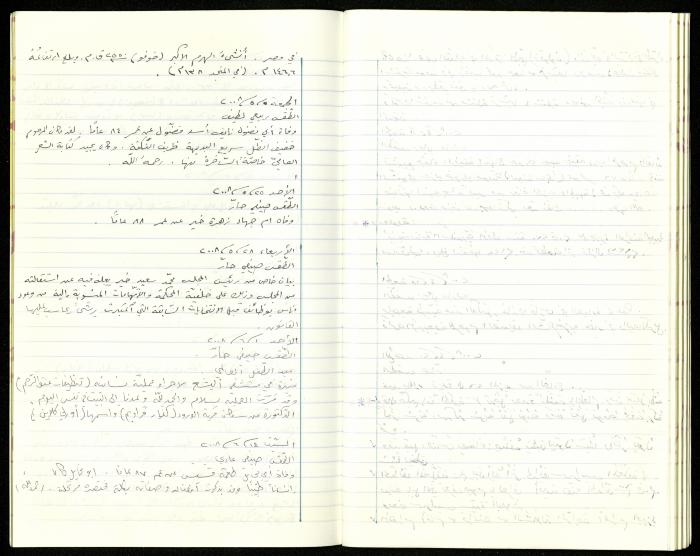 The Diaries of Fandi Mhanna, Buqei'a- Upper Galilee, 2002-2009