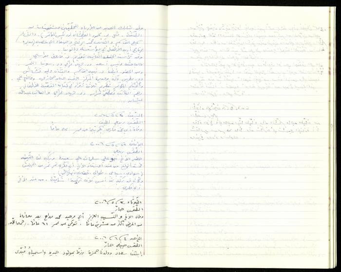 The Diaries of Fandi Mhanna, Buqei'a- Upper Galilee, 2002-2009