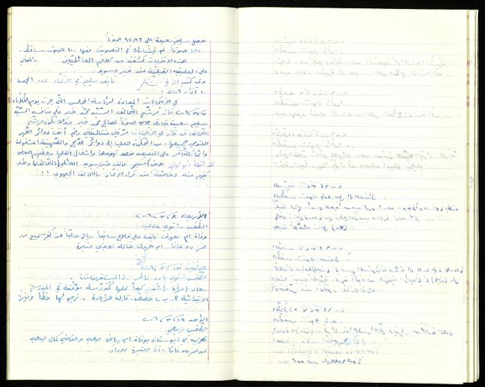 The Diaries of Fandi Mhanna, Buqei'a- Upper Galilee, 2002-2009