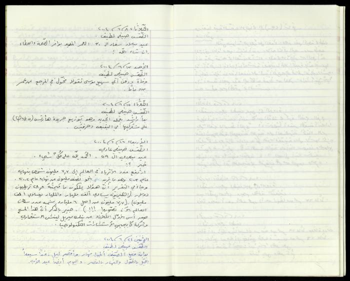 The Diaries of Fandi Mhanna, Buqei'a- Upper Galilee, 2002-2009