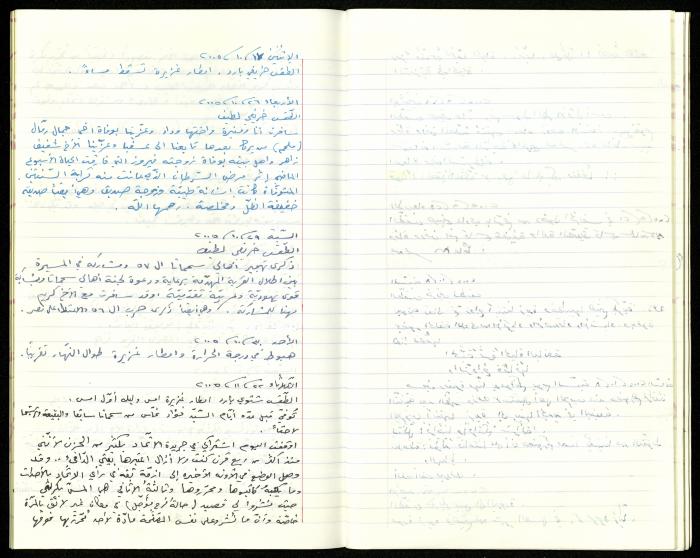 The Diaries of Fandi Mhanna, Buqei'a- Upper Galilee, 2002-2009