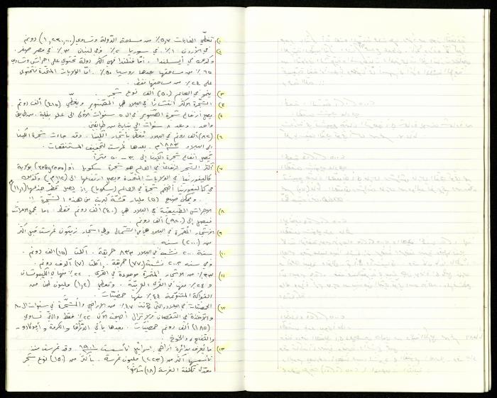 The Diaries of Fandi Mhanna, Buqei'a- Upper Galilee, 2002-2009