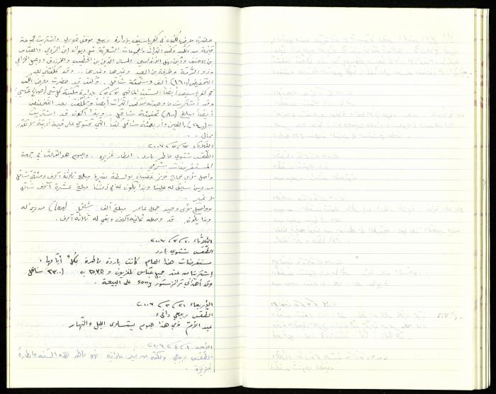 The Diaries of Fandi Mhanna, Buqei'a- Upper Galilee, 2002-2009