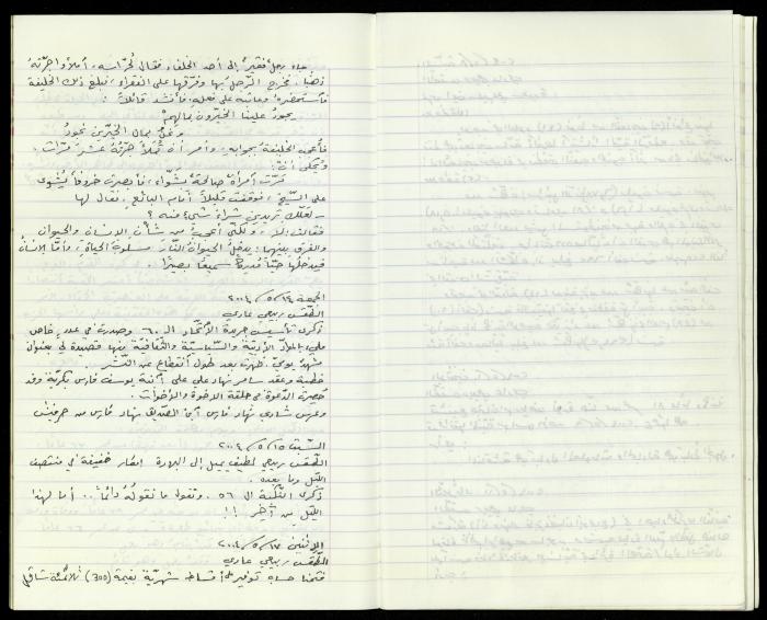 The Diaries of Fandi Mhanna, Buqei'a- Upper Galilee, 2002-2009