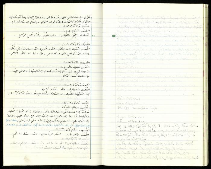 The Diaries of Fandi Mhanna, Buqei'a- Upper Galilee, 2002-2009