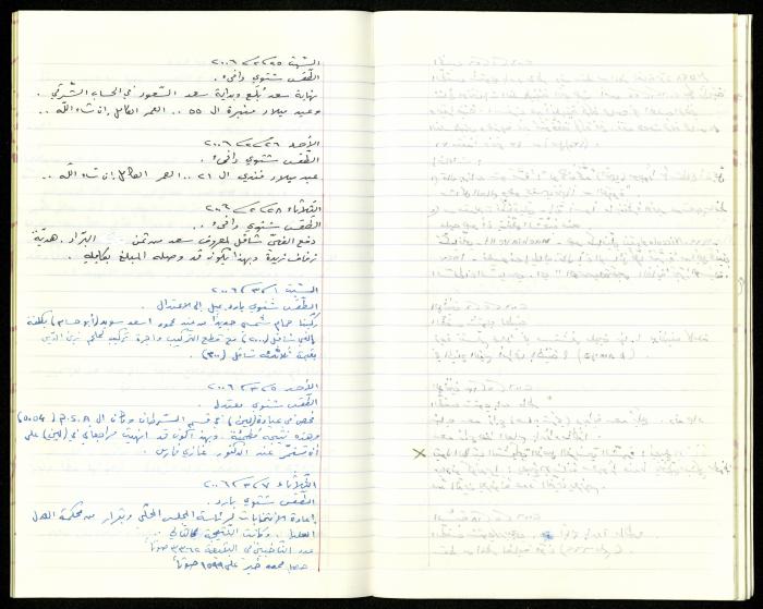 The Diaries of Fandi Mhanna, Buqei'a- Upper Galilee, 2002-2009