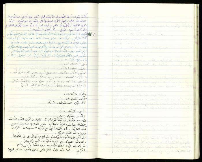 The Diaries of Fandi Mhanna, Buqei'a- Upper Galilee, 2002-2009