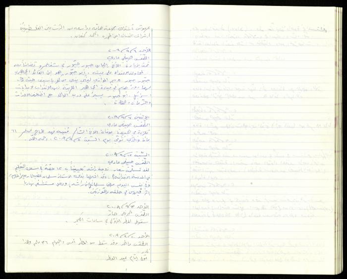 The Diaries of Fandi Mhanna, Buqei'a- Upper Galilee, 2002-2009