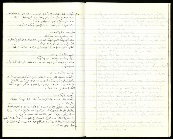 The Diaries of Fandi Mhanna, Buqei'a- Upper Galilee, 2002-2009