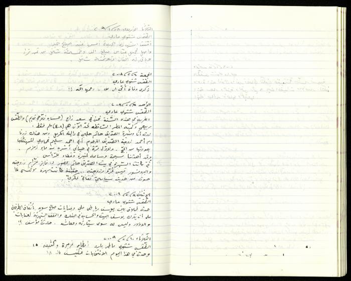 The Diaries of Fandi Mhanna, Buqei'a- Upper Galilee, 2002-2009