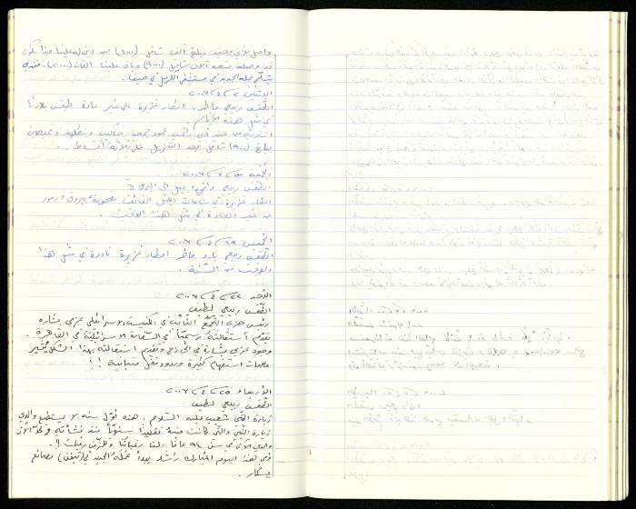 The Diaries of Fandi Mhanna, Buqei'a- Upper Galilee, 2002-2009