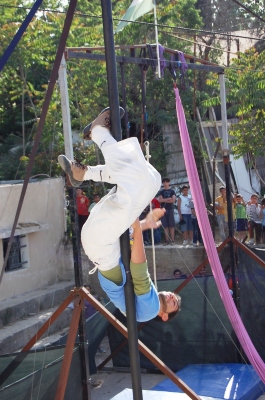 يوم مفتوح نظمته 