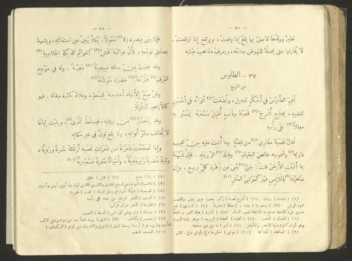 An Educational Book Printed by the Egyptian Ottoman Press, 1923