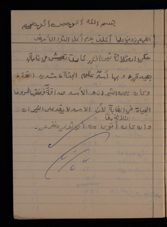 دفتر يوميات فضية الدرابيع، دورا- الخليل، 1989