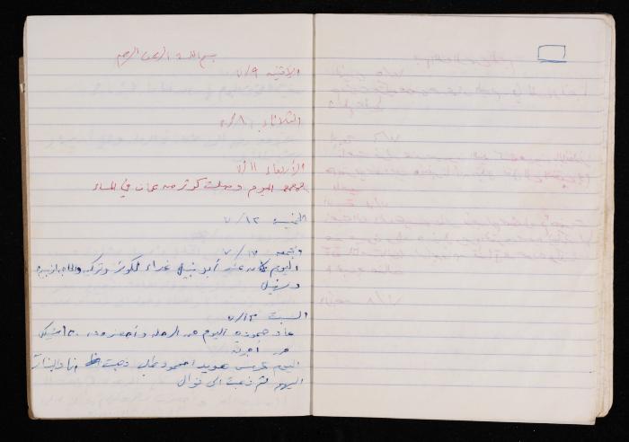 The Diary of Fadeyyeh Darabe, Dura- Hebron, 1990