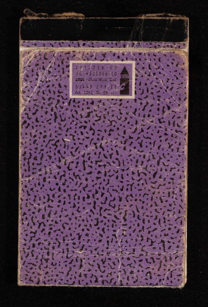The Diary of Fadeyyeh Darabe, Dura- Hebron, 1993