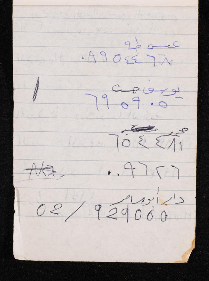 The Diary of Fadeyyeh Darabe, Dura- Hebron, 1993