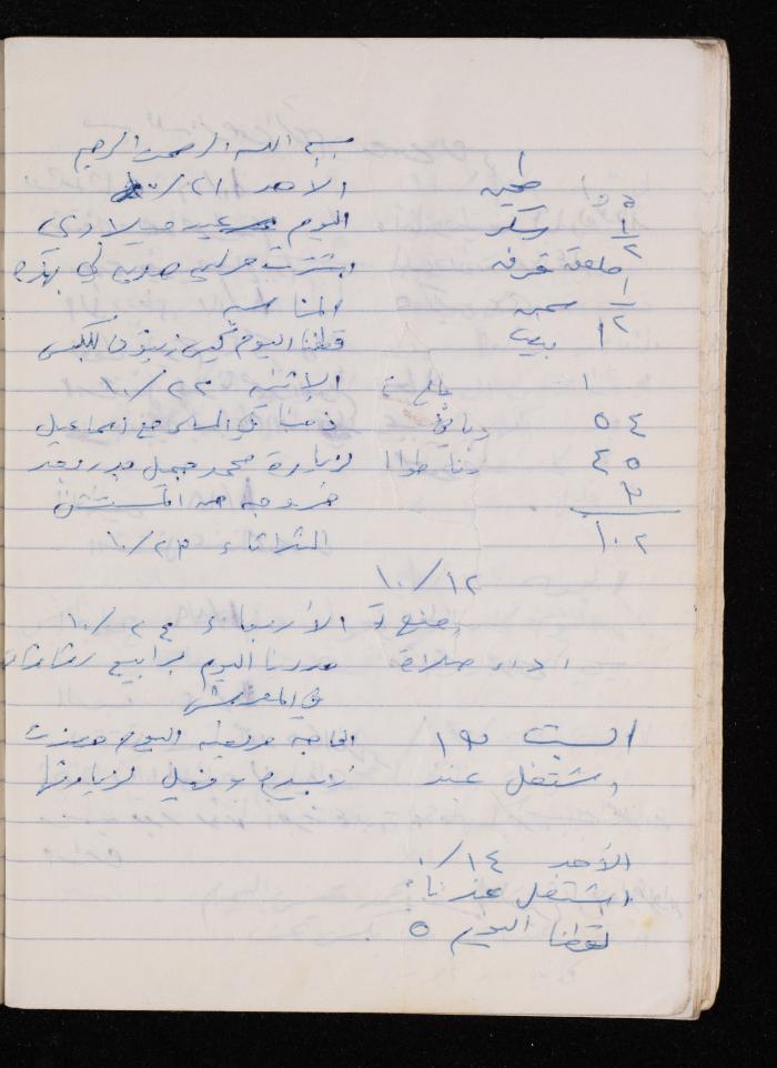 The Diary of Fadeyyeh Darabe, Dura- Hebron, 1990