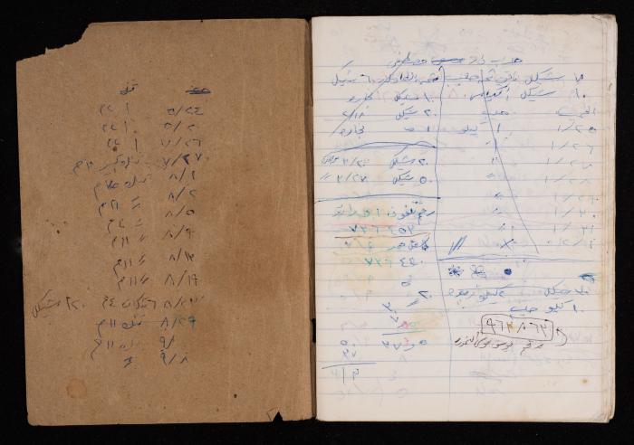 The Diary of Fadeyyeh Darabe, Dura- Hebron, 1990