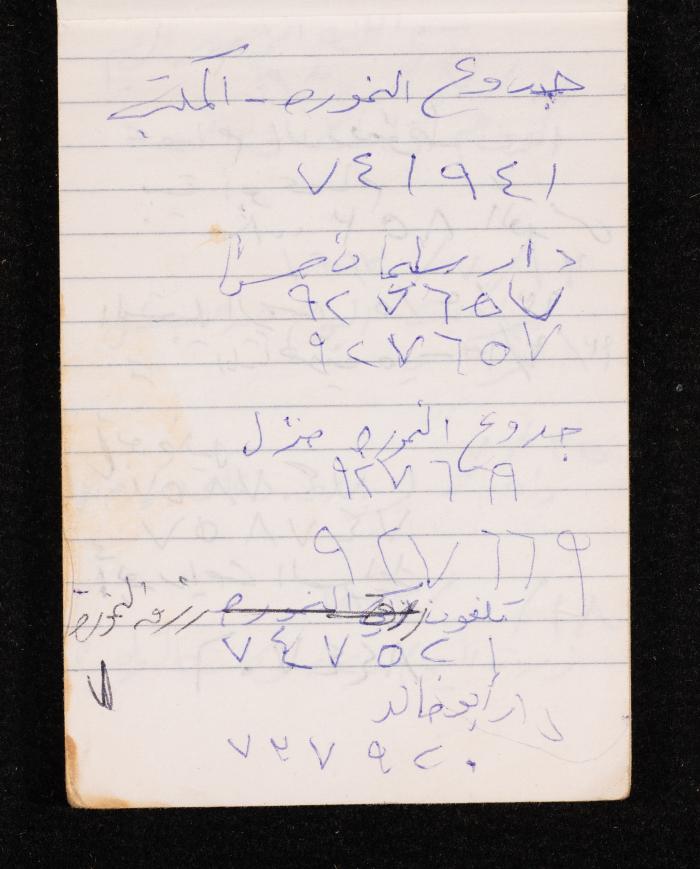 The Diary of Fadeyyeh Darabe, Dura- Hebron, 1993