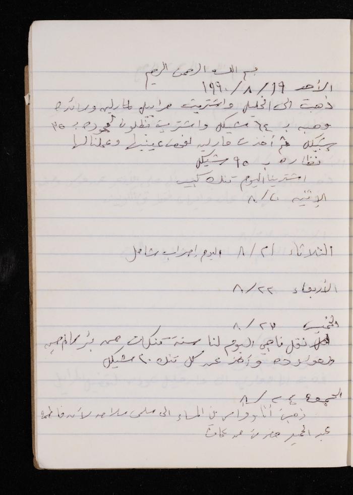 The Diary of Fadeyyeh Darabe, Dura- Hebron, 1990