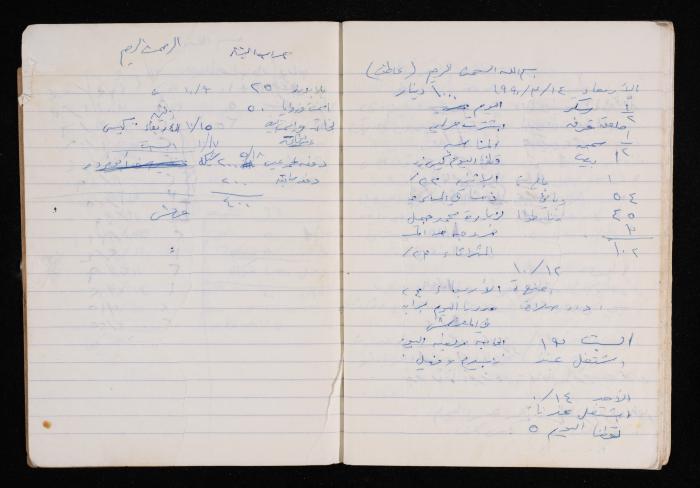 The Diary of Fadeyyeh Darabe, Dura- Hebron, 1990