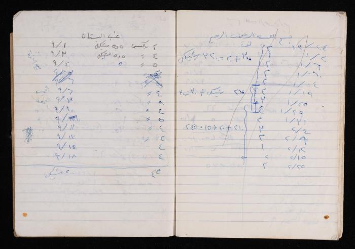 The Diary of Fadeyyeh Darabe, Dura- Hebron, 1990