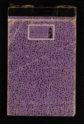 The Diary of Fadeyyeh Darabe, Dura- Hebron, 1993