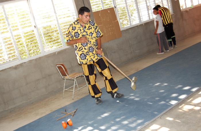 A Photograph from an Open Day Held by the PCS in Jenin, 2012
